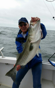 Action-Packed Stripers Fishing, NY