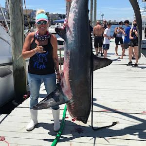 Meet our Thresher Shark Catch of the Day!