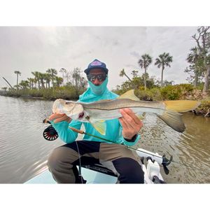 Top notch snook fishing in florida