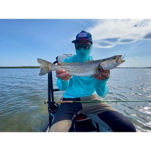 Great Sea Trout Caught in St Augustine waters