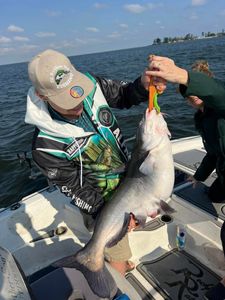 Weekend and Weekday Openings for Catfish & Striper Trips