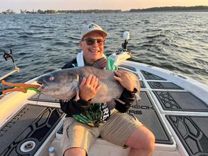 Prime Catfish & Striper Charter Availability!