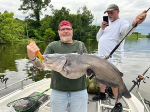 Morning Catfish Action Heating Up This Month