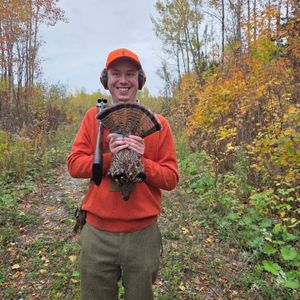 Maine Upland Hunting Adventure
