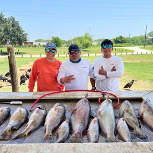 Morning Action Trip! Am 