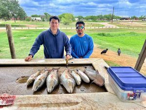 Calaveras Lake AM Action