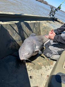 Grab Your Spook Float at Ironside Catfishing