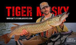 Your Direct Line to Monster Tiger Muskies