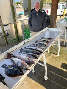 ''LETS GO CATCH'em''  YOUTUBE VIDEO LINKS