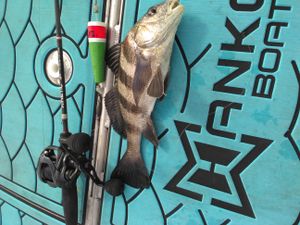 a road trip to the nursery