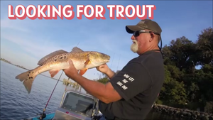 Jacksonville, FL  light tackle REDFISH