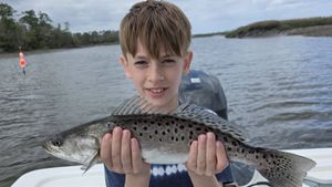 Hot Spring Bite: Non-Stop Action in Brunswick