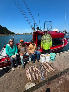 Daily Catch Summary & Conditions