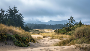 Things To Do In Coos Bay 