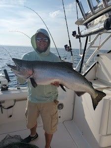 31 lb King Salmon Reeled in Michigan