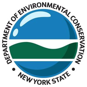 New York Fishing License Information for Travelers and Anglers