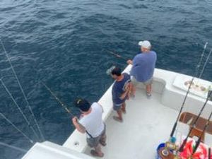 Offshore bite stays strong with Sea Bass and Tilefish on the WaveRunner!