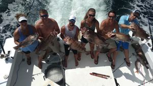 Groupers and Offshore fishing boats