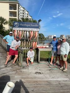 Best Destin fishing charters