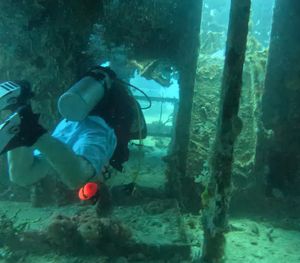 West Coast Diving: Why Platinum Beach Offers the Best Waters in Barbados