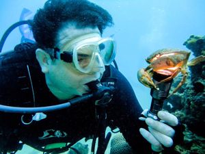 AquaPros Barbados Origin Story: Decades of Diving to Platinum Beach