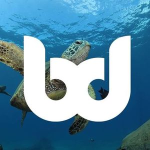 scuba diving key largo florida