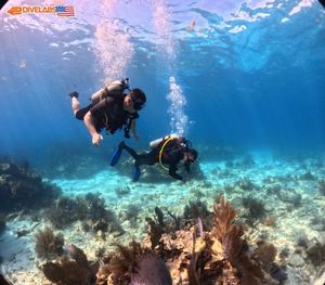 Key Largo Scuba Diving Waiver
