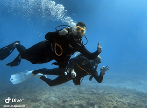 Discover Scuba Diving In the Florida Keys