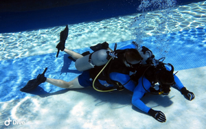 PADI Rescue Diver