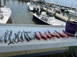 Custom Inshore & Offshore Trips – Reel Fishin’ Charters