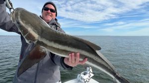 Best Fishing Seasons in Islamorada