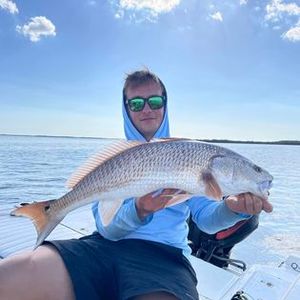 Redfish fishing action in Crystal River