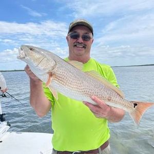 Embark on Florida redfish fishing adventure