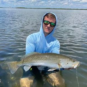 Discover Crystal River fishing, fishing sea trout