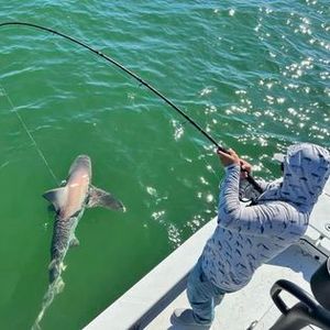 Florida's inshore fishing bliss.