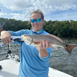 Catch redfish in Crystal River.