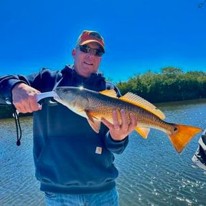 Crystal River fishing thrills await, Redfish catch
