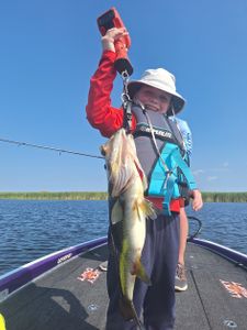 Trophy Bass and Nonstop Action at Headwaters Lake, FL