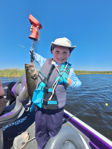 Hooked on Headwaters: An Exhilarating Bass Fishing Adventure
