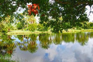 Top Things to Do in Melbourne, Florida