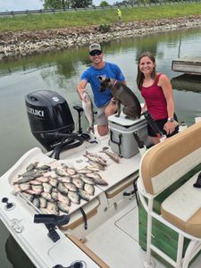 Anniversary Trip Delivers 31 Crappie, Bream, Yellow Bass, and Catfish with Fish Head Water SportsJust got done washing the boat we put 31 crappie 9 br