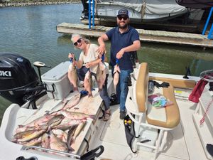 March hybrids are on the move 