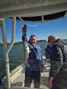 Lake Conroe Catfish Action: Shane's Channel & Blue Cat Success