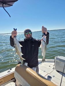 Hybrids catch and release day 