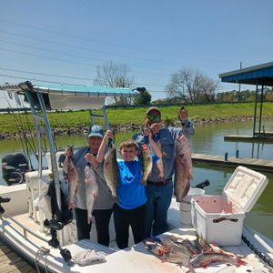 Shad run is the perfect time for fishing 