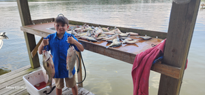 Thrilling Wiper and Catfish Encounter on Scenic Lake Conroe