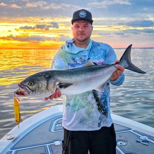 The Topwater Frenzy is Here: Bluefish Blitzing on the Whopper Plopper 190