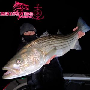 Fall Run Momentum Heading Into the Holidays