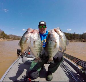 Mastering the Spring Transition: Professional Insights from Lance Hughey Crappie Guide Service