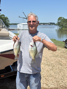 Slabbin' Good Times on Lake Hudson: Crappie Fishing Charter Adventure